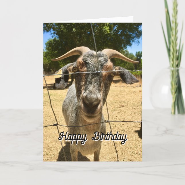 A Goat Birthday Wish Card (Front)