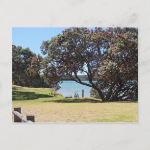 A God of Peace (1 Corinthians 14:33) Postcard