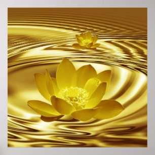A gold lotus flower and reflections poster