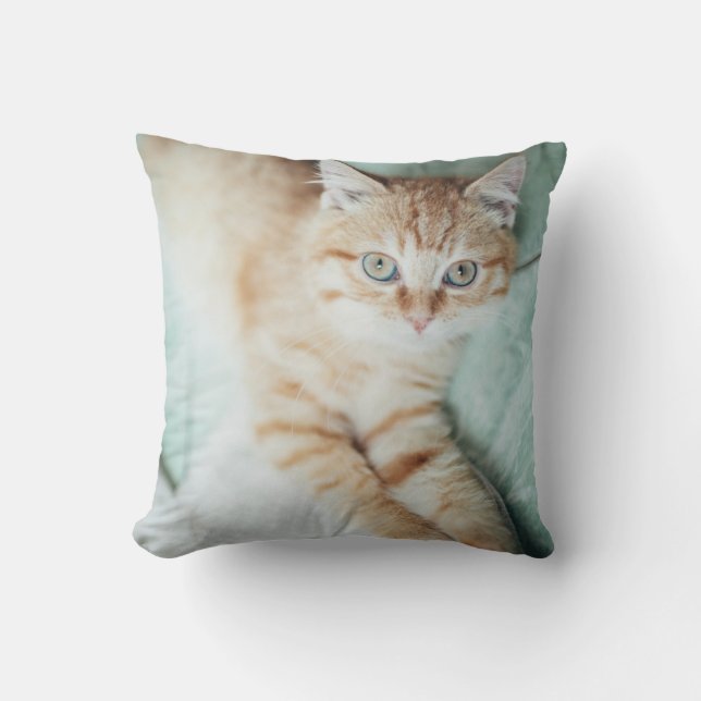 A Golden Colour Kitten Lying Down Throw Pillow (Front)