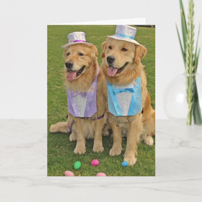 A Golden Egg-Sighting Easter Holiday Card (Front)