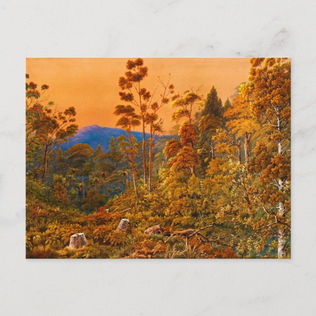 A Golden Eve, Waiheke Island by Alfred Sharpe 1890 Postcard (Front)