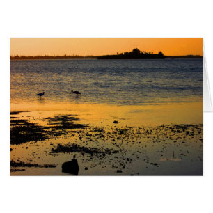 "A Golden Sunset" in Dunedin, Florida