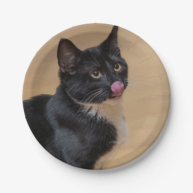 A Good Lick Painterly Paper Plate (Front)