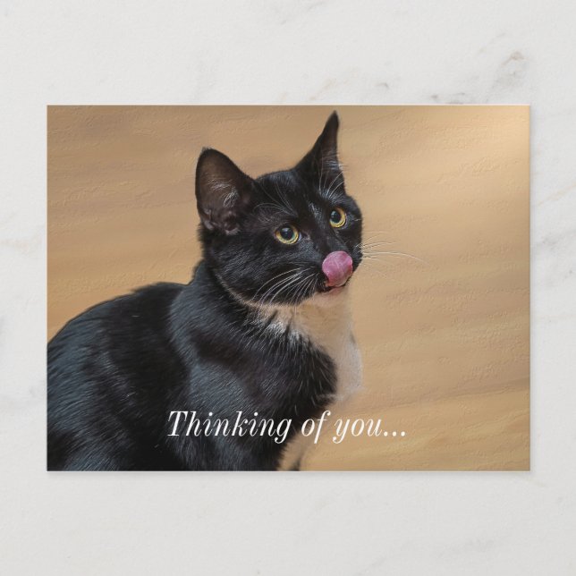 A Good Lick Painterly Thinking Of You Postcard (Front)