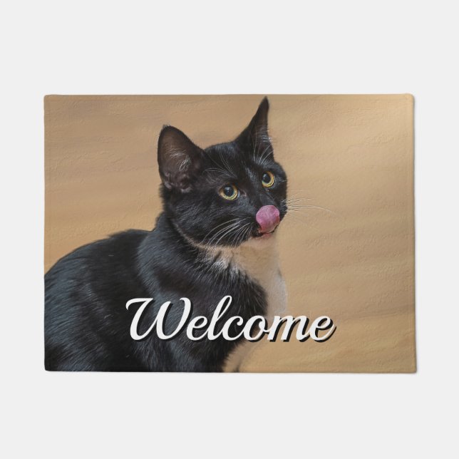 A Good Lick Painterly Welcome Doormat (Front)