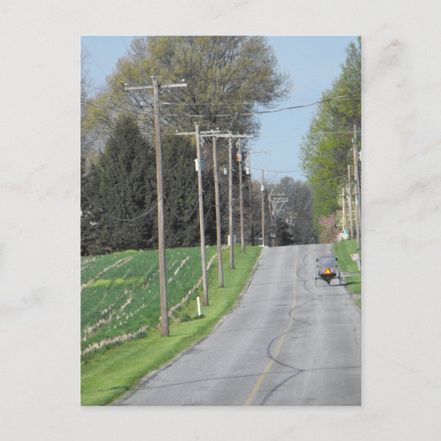 ~ A Good Morning ~ Postcard (Front)