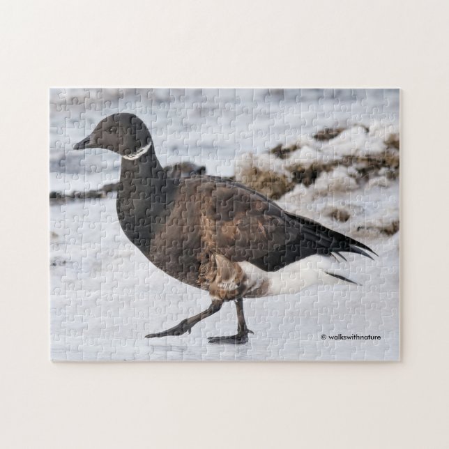 A Goosesteppin' Brant Jigsaw Puzzle (Horizontal)