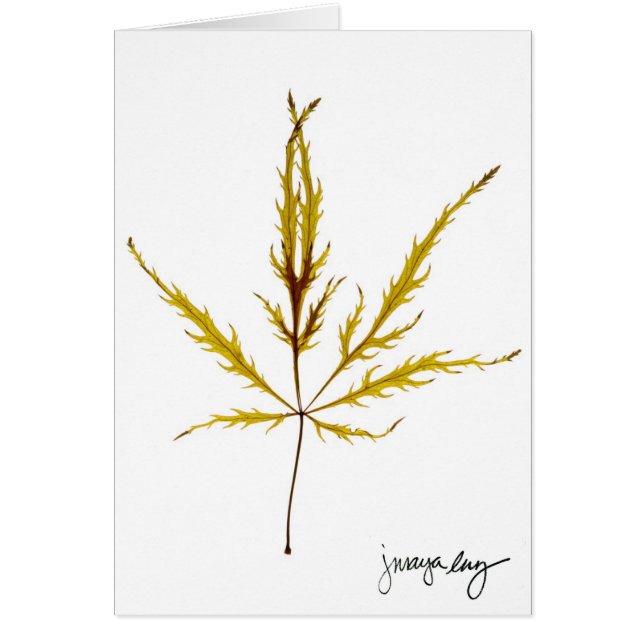 "A gravé à l'eau-forte la feuille" par J. Maya Luz (Devant)