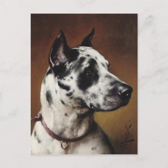 A Great Dane Postcard (Front)