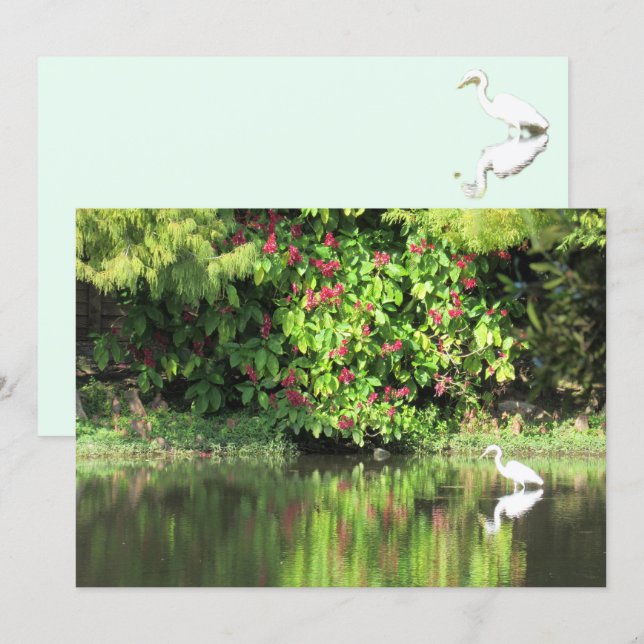  A Great Egret Fishing in the Swamp Holiday Card (Front/Back)
