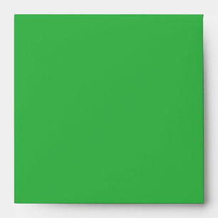 a green background with a white border envelope