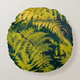 A green fern plants background with shadows. abstr round pillow