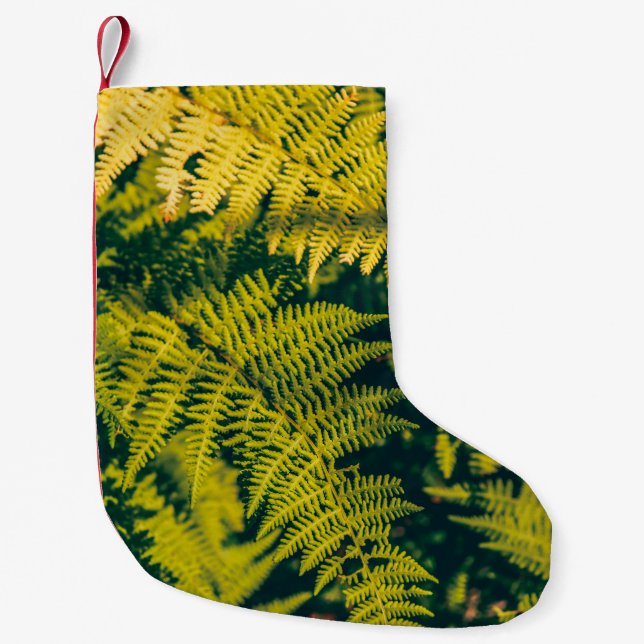 A green fern plants background with shadows. abstr small christmas stocking (Front)