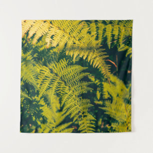 A green fern plants background with shadows. abstr tapestry