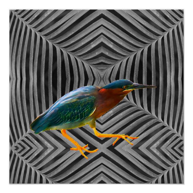 A green heron and a beautiful abstract art poster (Front)