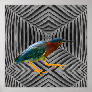 A green heron and a beautiful abstract art poster