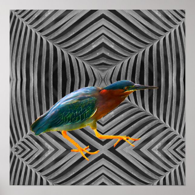 A green heron and a beautiful abstract art poster (Front)