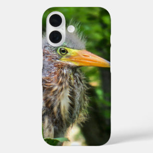 A green heron baby iPhone 16 case