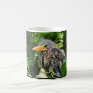 A green heron baby coffee mug