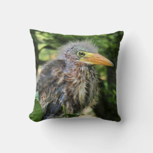 A green heron throw pillow