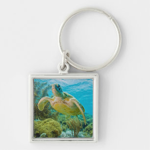 A Green Turtle On The Shallow Reefs Of Bonaire Keychain