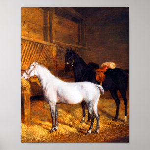 A Grey Pony and a Black horse in a Stable   Poster
