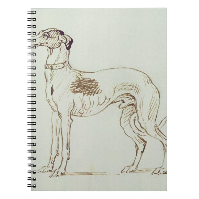 A Greyhound, Facing Left (pen & ink on paper) Notebook (Front)