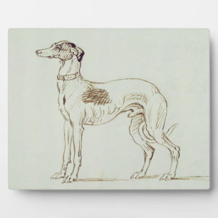 A Greyhound, Facing Left (pen & ink on paper) Plaque