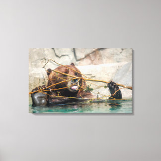 A Grizzly Bear Playing in the Water Canvas Print
