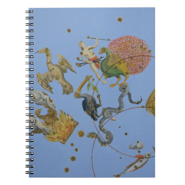 A group of constellations from 'Uranometria' by Jo Notebook (Front)