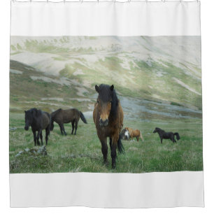 A GROUP OF HORSES ON A MOUNTAIN PASTURE