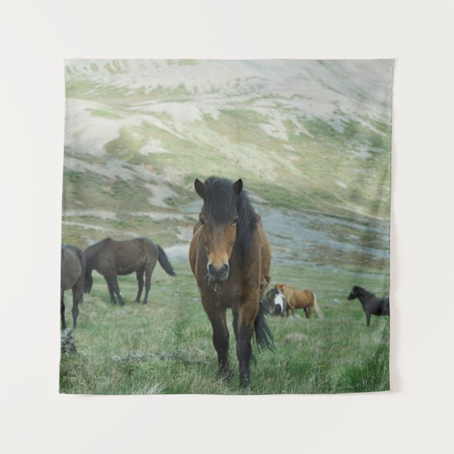 A GROUP OF HORSES ON A MOUNTAIN PASTURE TAPESTRY (Front)