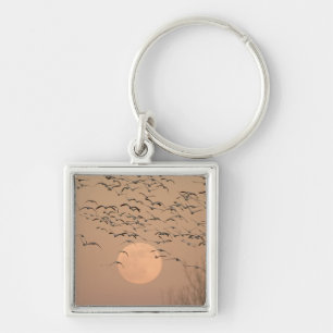 A group of migratory snow geese, Grus Keychain