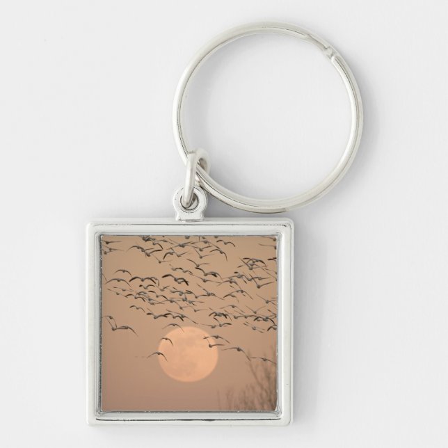 A group of migratory snow geese, Grus Keychain (Front)
