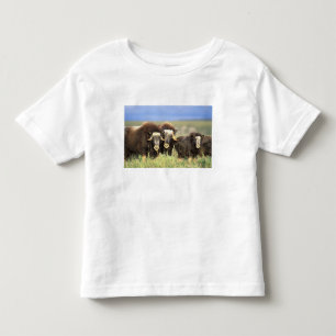 A group of muskoxen browse on willow shrubs on toddler t-shirt