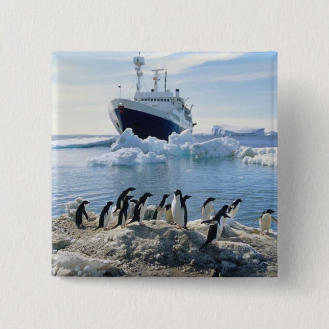 A Group Of Penguins Standing On An Icy Beach 2 Inch Square Button (Front)