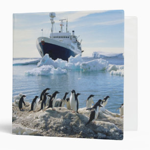 A Group Of Penguins Standing On An Icy Beach Binder