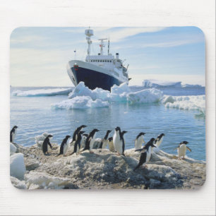 A Group Of Penguins Standing On An Icy Beach Mouse Pad