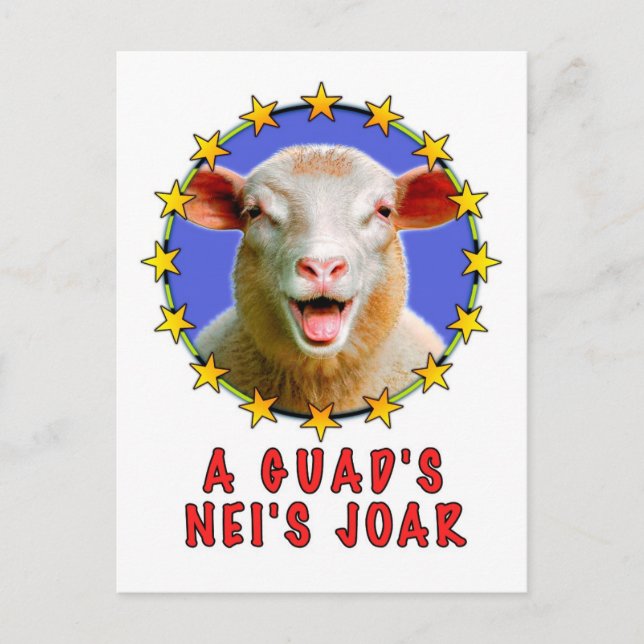 A guads neis Johr Postcard (Front)
