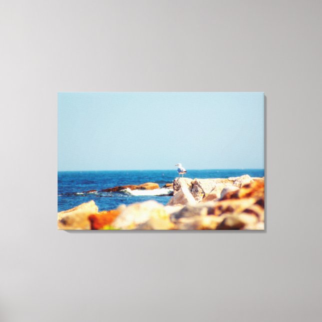 A Gull's Post Canvas Print (Front)