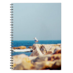 A Gull's Post Notebook