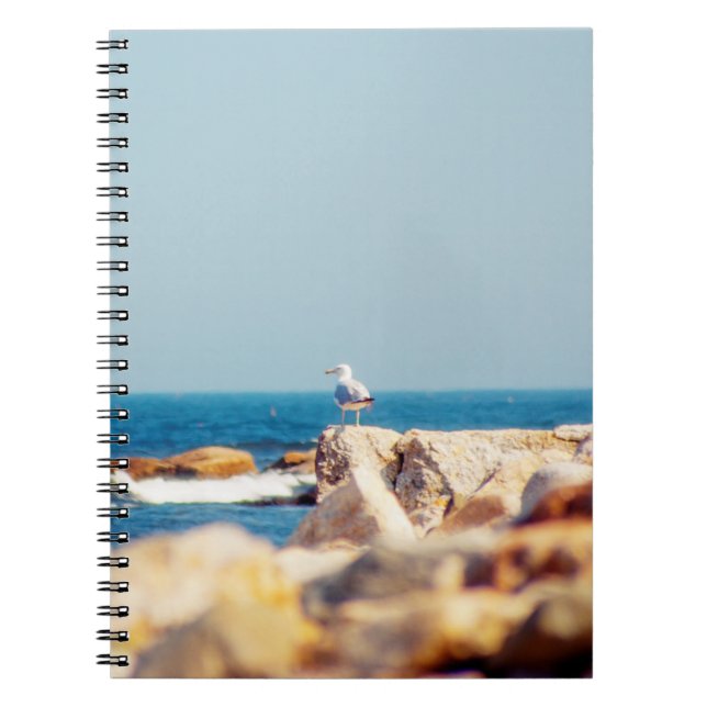 A Gull's Post Notebook (Front)