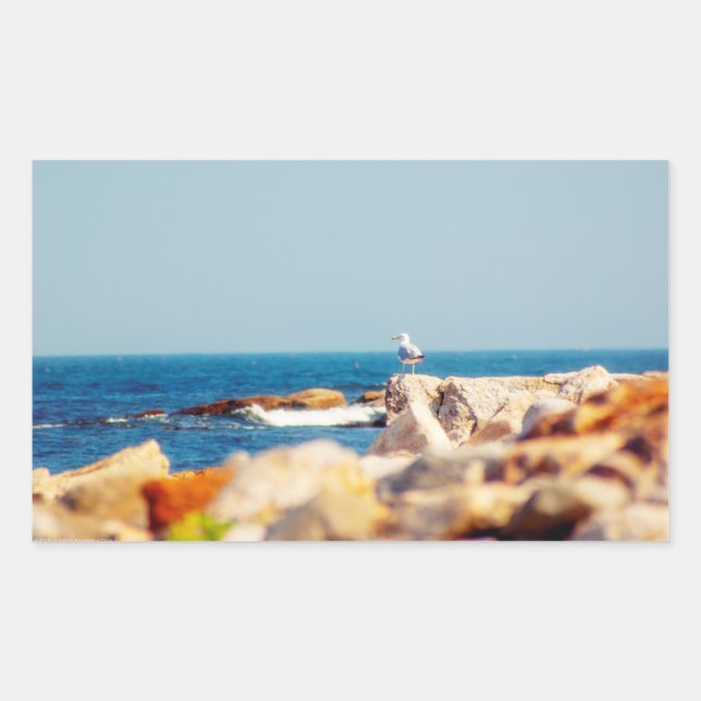 A Gull's Post Sticker (Front)