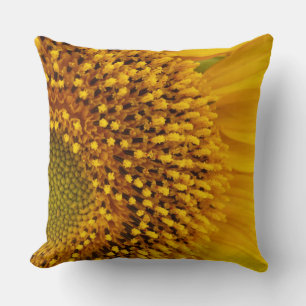 a half-circle throw pillow