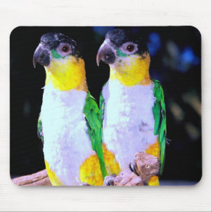 A Happy Couple Mouse Pad