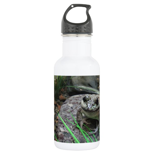 A Happy Frog 532 Ml Water Bottle (Front)