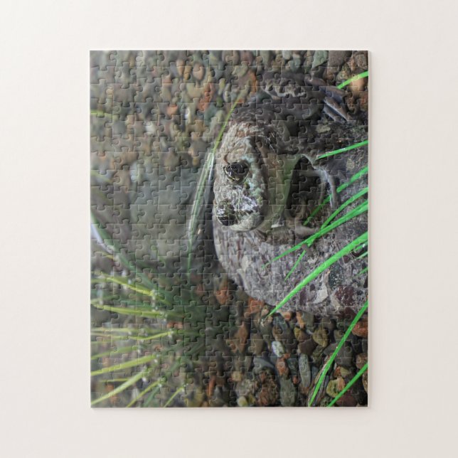 A Happy Frog Jigsaw Puzzle (Vertical)