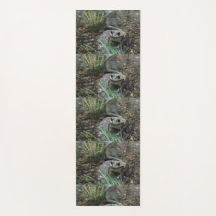 A Happy Frog Yoga Mat