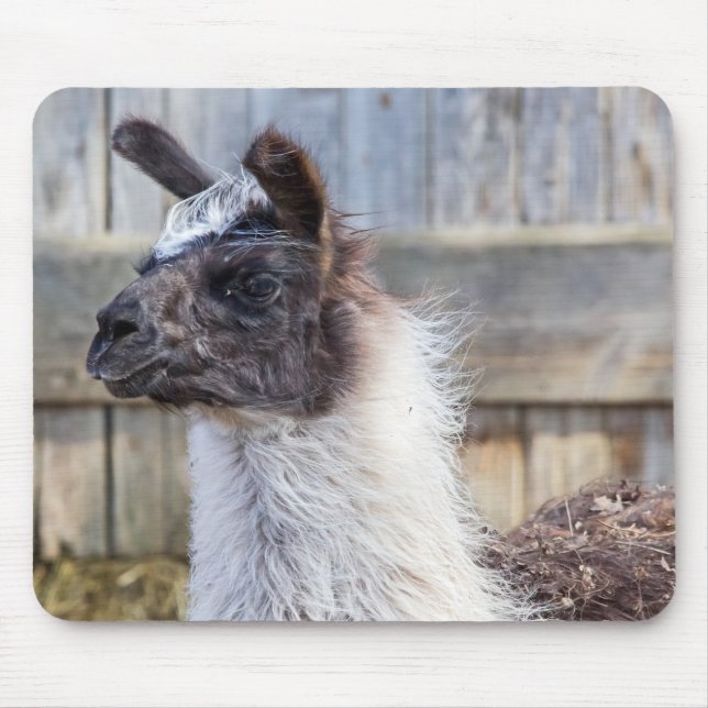 A Happy Llama Mouse Pad (Front)